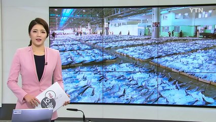 "남해안에서 참치가 잡힌다" 한반도 바다 아열대화 / YTN (Yes! Top News)