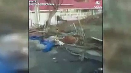 Hurricane Irma-International News Latest World News, Videos & Photos  MIT Network