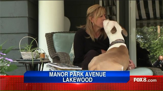 Woman Vows to Continue Fight After City Tells Her to Get Rid of Beloved Pit Bull