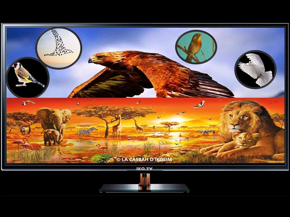 Algérie KAMEL AZIZ القلب دم ولحم كلمات الشيخ محمد الباجي (رحمه الله) أداء الشيخ كمال عزيز