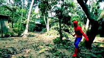 Bataille bats toi dans vie film parc réal homme araignée super-héros le le le le la venin contre
