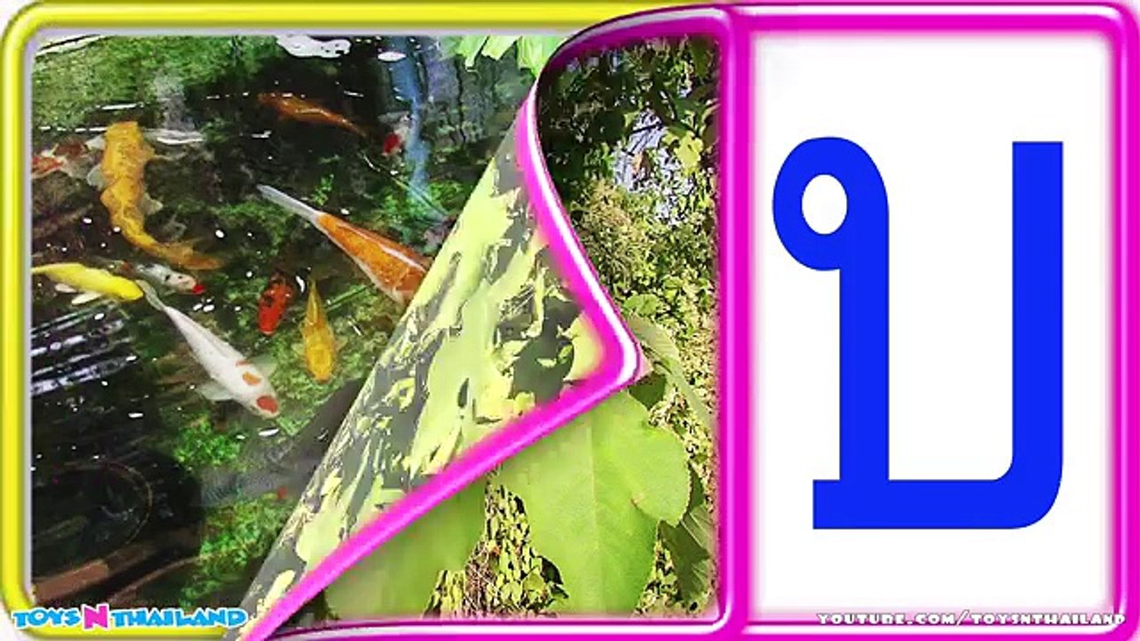เพลง ก เอ๋ย ก ไก่ เพลงเด็ก แบบดั้งเดิม ภาพจริง จำง่าย สนุกๆ - Learn Thai Alphabet
