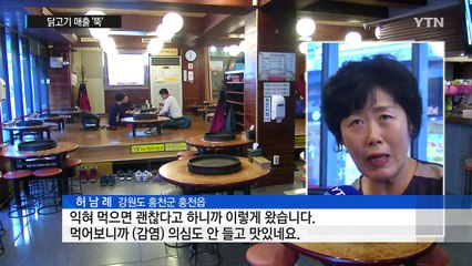 AI에 춘천 닭갈비 골목 된서리...닭고기 매출 '뚝' / YTN (Yes! Top News)