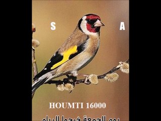 Algérie. GUEROUABI الشيخ الحاج الهاشمي ڤروابي رَحمة الله عليه في يوم الجمعة بالكَلِمات