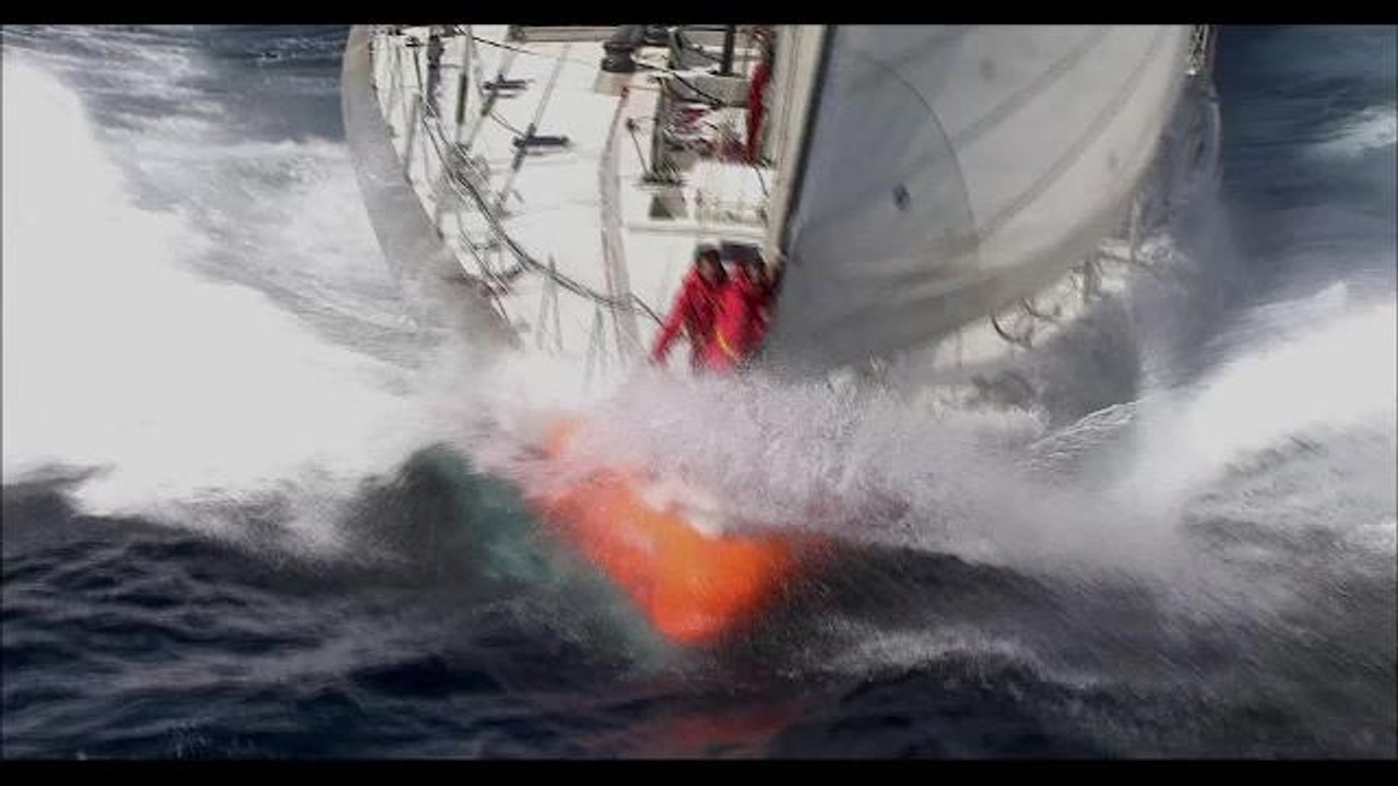 Festival Pariscience : Bande-annonce Tara, l'odyssée du corail