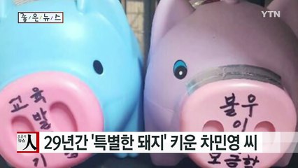 [좋은뉴스] 29년간 '특별한 돼지' 키운 차민영 씨 / YTN (Yes! Top News)