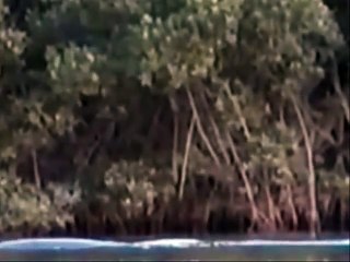 Could this be a TRUE LIVING DINOSAUR_