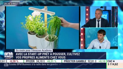En route pour l'Amazon Academy: Avec la startup Prêt à Pousser, cultivez vos propres aliments chez vous - 07/09
