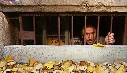 Siroti mali hrki 2003 - Ceo domaci film 1. deo