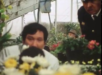 犬神家の一族 2話 横溝 正史 Yokomizo Seishi