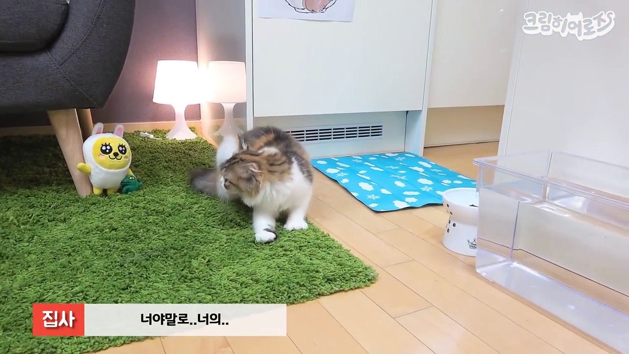 고양이 행복하다면 야옹해