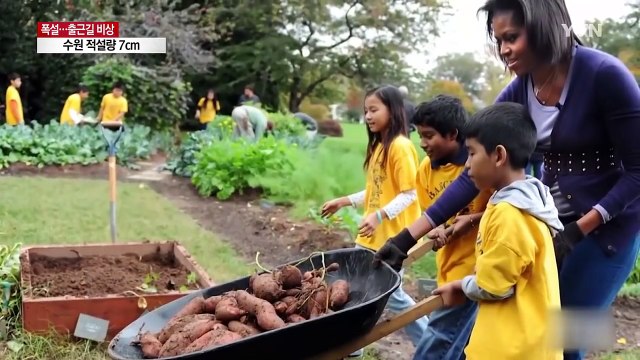 '역대급 영부인' 미셸 오바마, 대중을 사로잡다 / YTN (Yes! Top News)