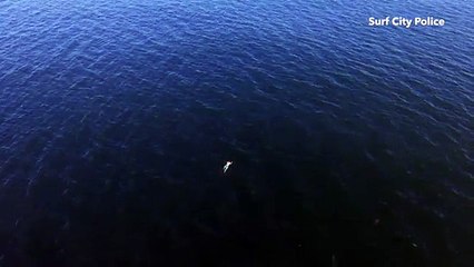 Nhảy xuống biển trốn cảnh sát, tên tội phạm đen đủi không ngờ gặp phải cá mập