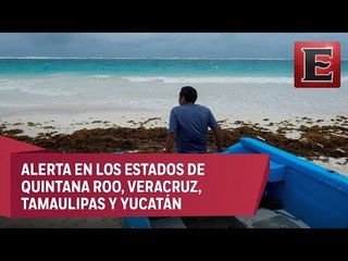Activan plan de prevención en cuatro estados por tormenta tropical Franklin