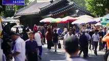 [Secret Korea - Seoul] 제20회 가로수길 : 서울의 트렌드와 함께 걷는 길 / YTN (Yes! Top News)