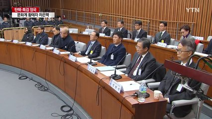 [국정농단 말말말] 차은택 "최순실·고영태는 내연 관계" / YTN (Yes! Top News)