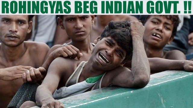 Rohingyas beg for mercy, plead Indian govt. to not deport them | Oneindia News