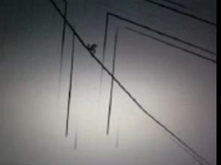 Vidéo0002