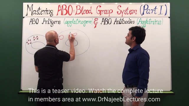ABO Blood Group System - Teaser video