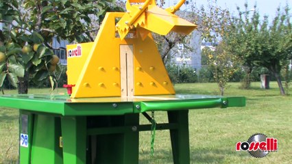 Sega circolare motore elettrico per legna da ardere M-350 - Rosselli Snc