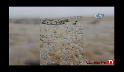 Görenler büyük şaşkınlık yaşadı: Kar yağdı...