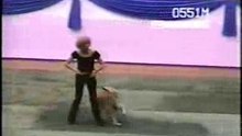 DiscoDog