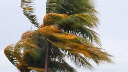 Aid groups rush to help as Hurricane Irma batters northern Haiti