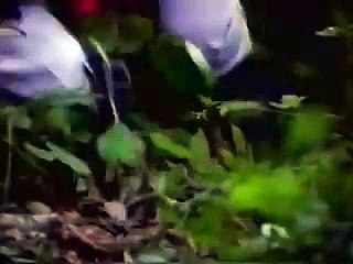 온라인바카라배팅법＼＼【 ＬＯＵ８２。ＣＯＭ 】＼＼맞고추천