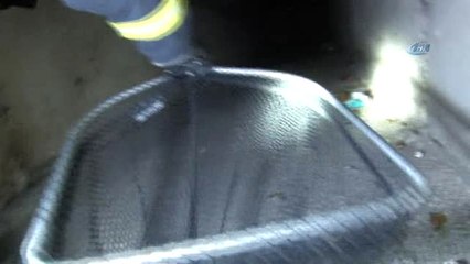 Su Kanalında Kedi Kurtarma Operasyonu