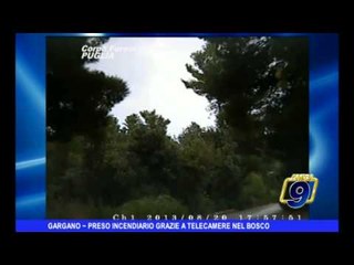 GARGANO | Preso incendiario grazie a telecamere nel bosco