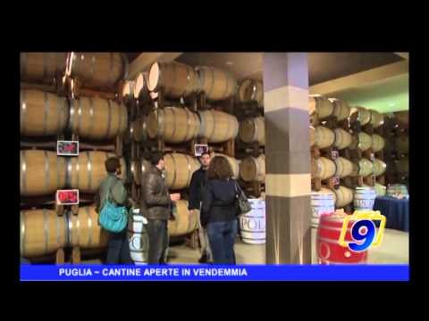 PUGLIA | Cantine aperte in vendemmia