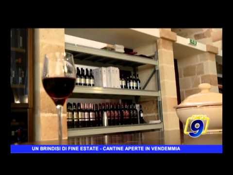 CANTINE APERTE IN VENDEMMIA | Un brindisi di fine estate