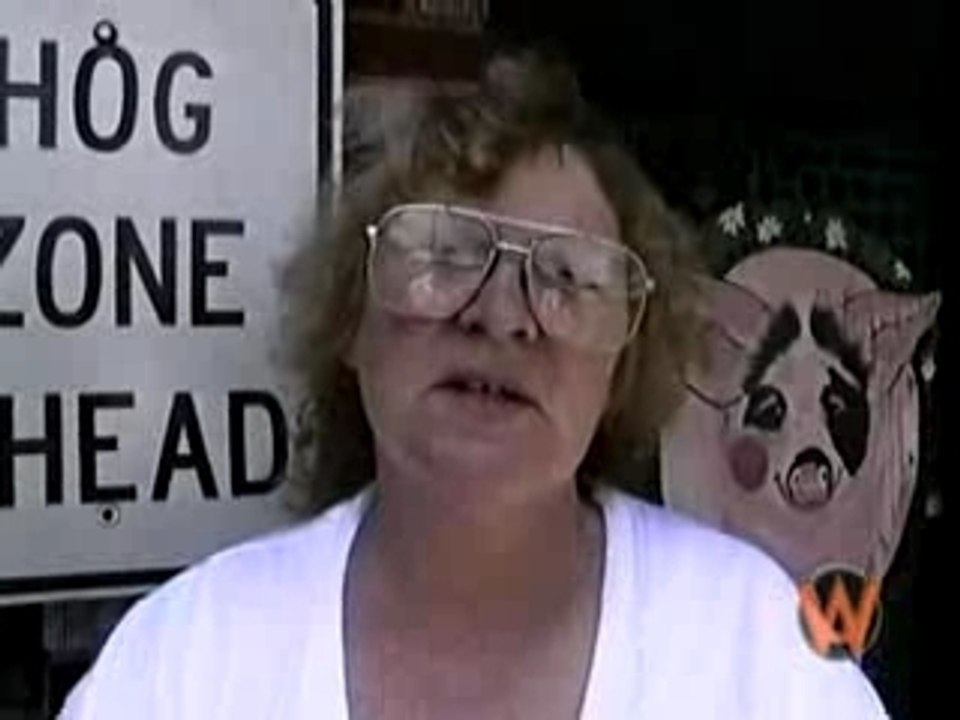 Weird America - Pigdom