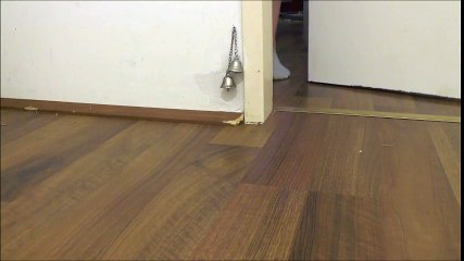 Eve Girmek İçin Zili Çalan Fare