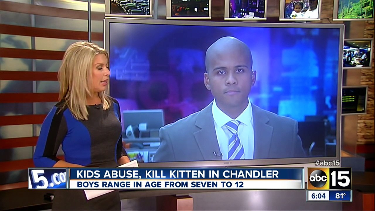 Valley kids abuse, kill kitten