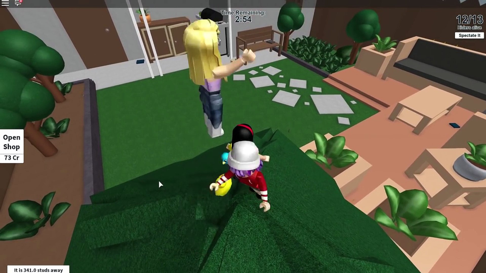 Roblox Extreme Hide And Seek Audrey Knows All The Secret Spots