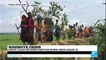 Rohingya Crisis: "Bangladeshi police describe bodies floating in the river on the Burmese border"