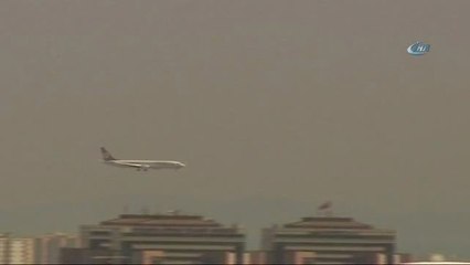 Atatürk Havalimanı'na İnen Uçak Martıya Çarptı