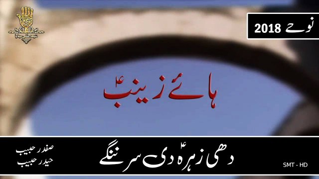 Dhee Zahra (S.A) Di Ser Nangay Punjabi Noha by Safdar Habib & Haider Habib Nohay 2017-18 HD