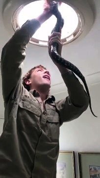 Un python s’incruste dans la lucarne d’une salle de bain