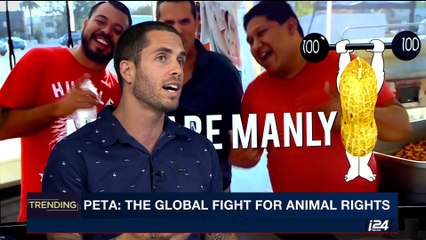 TRENDING  |  With Emily Frances  |  Friday, September 8th 2017