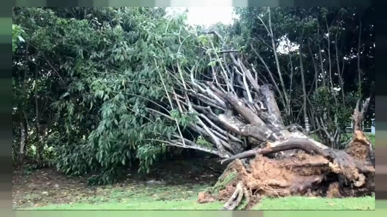 Irma : les explications d'un climatologue