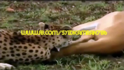 [New 2015]ALLAH Ki QudratALLAH Ki Shaan Miracle Of ALLAHMust Watch & Share Don,t Ignore