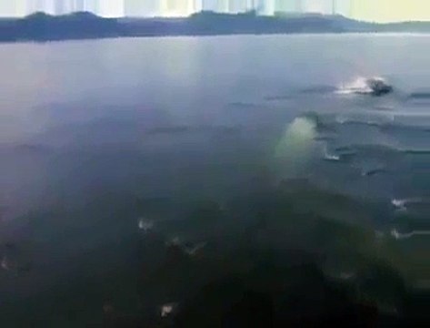 Allah ki qudrat allah ki shaan Miracles of Allah Must watch