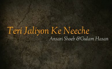Teri Jaaliyon Ke Neeche -Ansari shoeb & Gulamhasan(Shamsi Brother)
