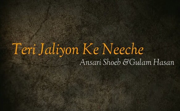 Teri Jaaliyon Ke Neeche -Ansari shoeb & Gulamhasan(Shamsi Brother)