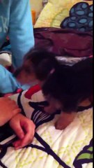 Leo's First Night Home