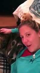 Big Barker Dog Bed Review: Jennifer and Kahula