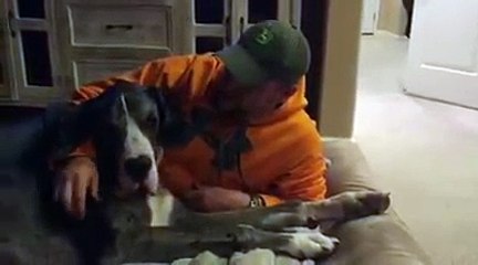 Big Barker Dog Bed Review: Ashton & Tazer the Great Dane