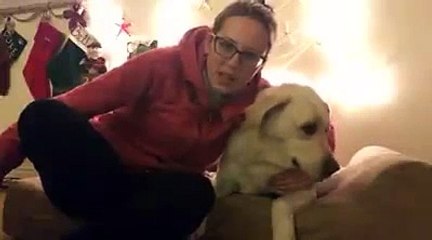 Big Barker Dog Bed Review: Shannon & Barley